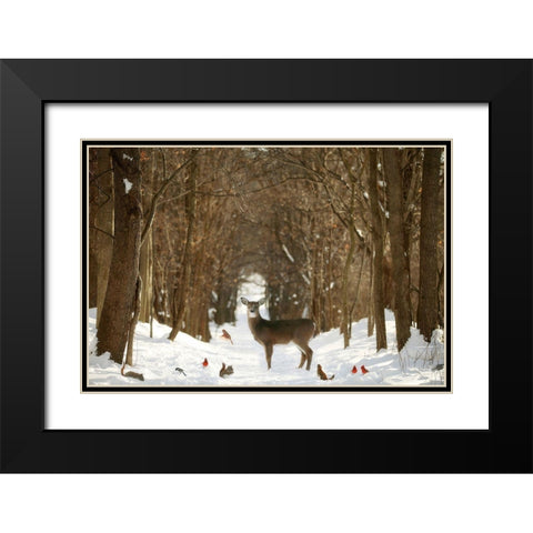 The Forest of Snow White Black Modern Wood Framed Art Print with Double Matting by Grippo-Pike, Carrie Ann