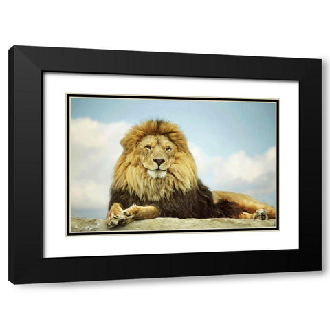 The King Black Modern Wood Framed Art Print with Double Matting by Grippo-Pike, Carrie Ann