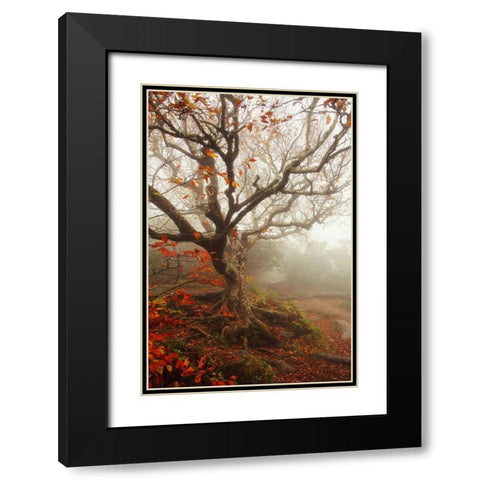Tree of Seasons Black Modern Wood Framed Art Print with Double Matting by Grippo-Pike, Carrie Ann