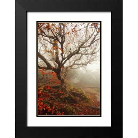 Tree of Seasons Black Modern Wood Framed Art Print with Double Matting by Grippo-Pike, Carrie Ann