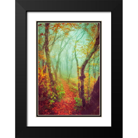Fairytale Fall Pathway Black Modern Wood Framed Art Print with Double Matting by Grippo-Pike, Carrie Ann