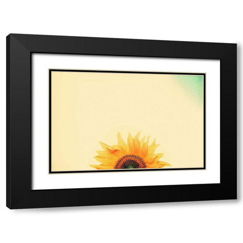 Sunflower Sunrise Black Modern Wood Framed Art Print with Double Matting by Grippo-Pike, Carrie Ann