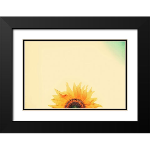 Sunflower Sunrise Black Modern Wood Framed Art Print with Double Matting by Grippo-Pike, Carrie Ann
