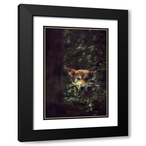 Wolf Black Modern Wood Framed Art Print with Double Matting by Grippo-Pike, Carrie Ann