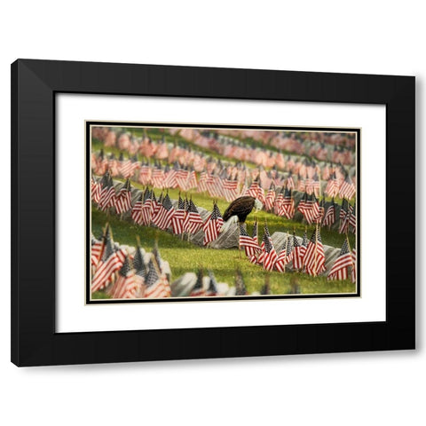 The Final Salute - Blad Eagle Black Modern Wood Framed Art Print with Double Matting by Grippo-Pike, Carrie Ann