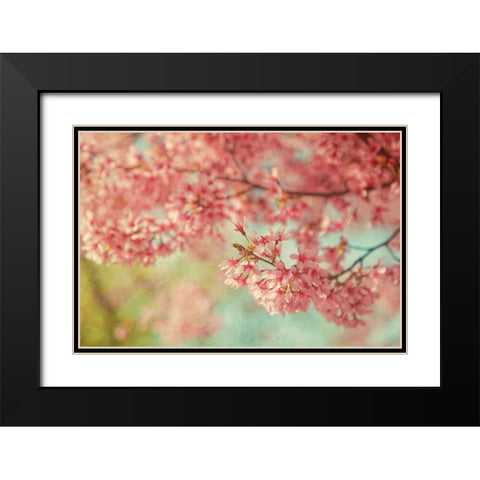 Cheery Cherry Blossoms Black Modern Wood Framed Art Print with Double Matting by Grippo-Pike, Carrie Ann
