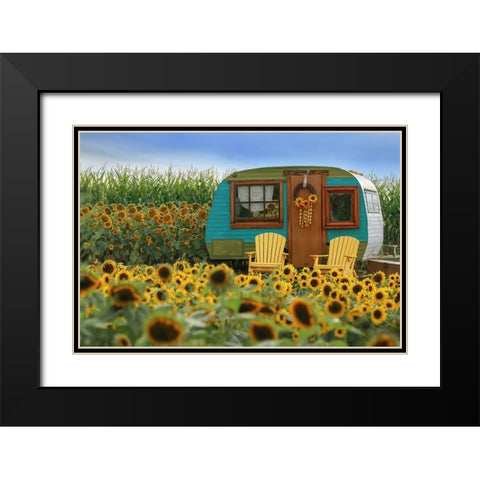 Vintage Camper and Sunflowers 2 Black Modern Wood Framed Art Print with Double Matting by Grippo-Pike, Carrie Ann