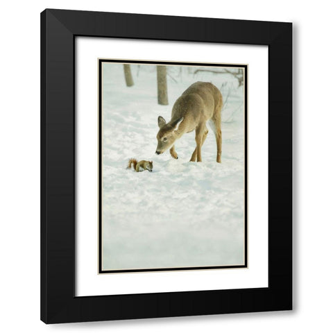 Winter Squirrel and Deer Black Modern Wood Framed Art Print with Double Matting by Grippo-Pike, Carrie Ann