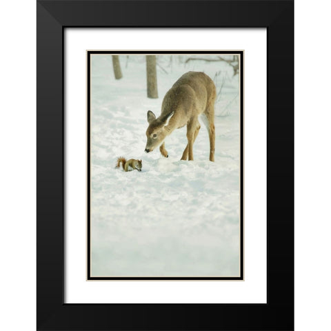 Winter Squirrel and Deer Black Modern Wood Framed Art Print with Double Matting by Grippo-Pike, Carrie Ann