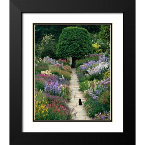 The Garden Cat Black Modern Wood Framed Art Print with Double Matting by Gawlowski, Greg