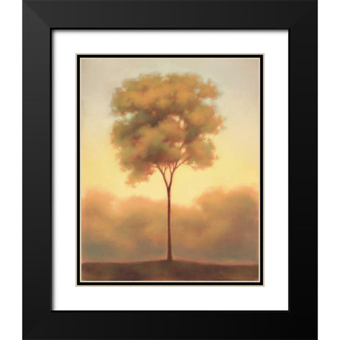 Solitude III Black Modern Wood Framed Art Print with Double Matting by Gams, Darlou