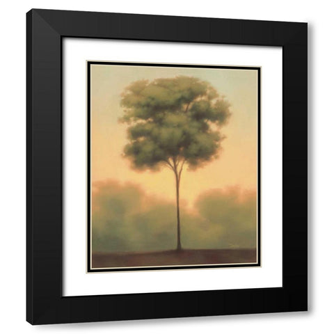 Solitude IV Black Modern Wood Framed Art Print with Double Matting by Gams, Darlou