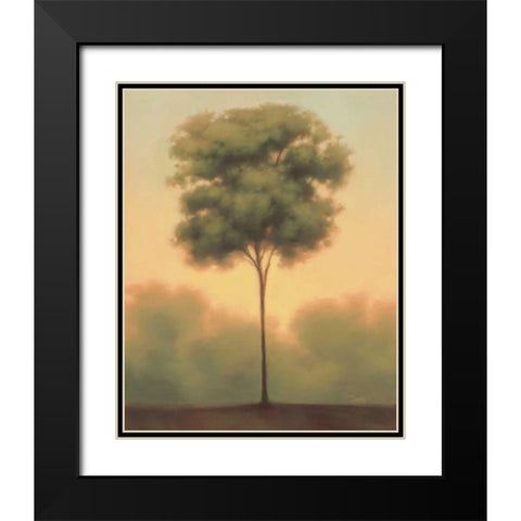 Solitude IV Black Modern Wood Framed Art Print with Double Matting by Gams, Darlou