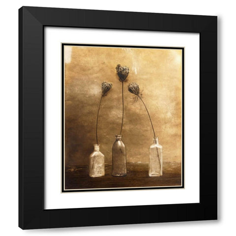 Three Views Black Modern Wood Framed Art Print with Double Matting by Gauthier, Jan