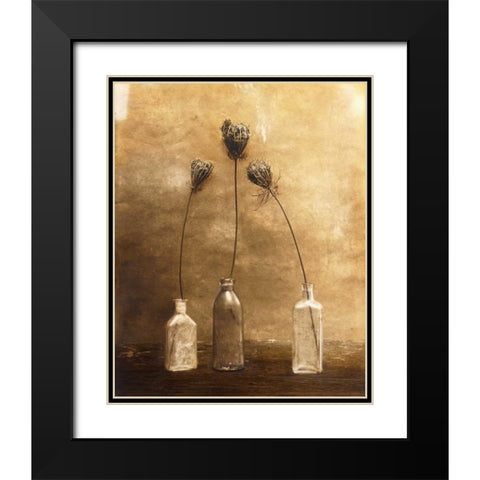 Three Views Black Modern Wood Framed Art Print with Double Matting by Gauthier, Jan