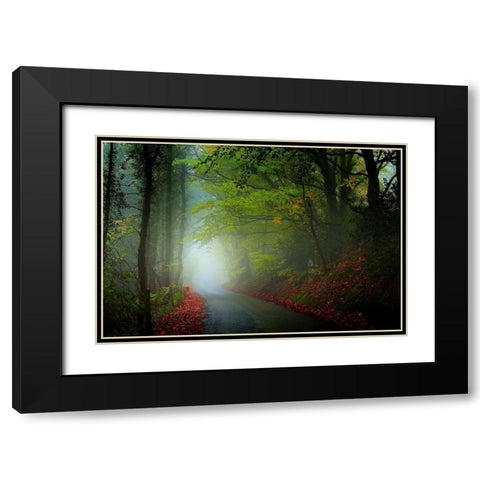 The Lane Black Modern Wood Framed Art Print with Double Matting by Goncalves, Adelino