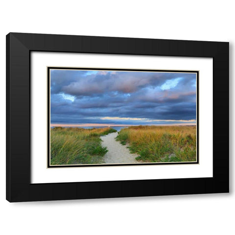 Jetties Beach Path Black Modern Wood Framed Art Print with Double Matting by Gendreau, Katherine