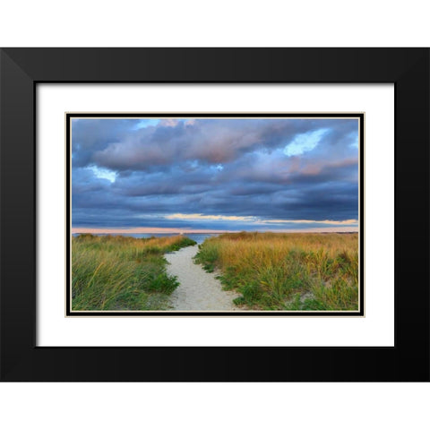 Jetties Beach Path Black Modern Wood Framed Art Print with Double Matting by Gendreau, Katherine