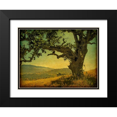 Blue Oak Hilltop Black Modern Wood Framed Art Print with Double Matting by Guion, William