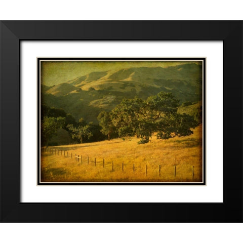 Oak and Fence Black Modern Wood Framed Art Print with Double Matting by Guion, William