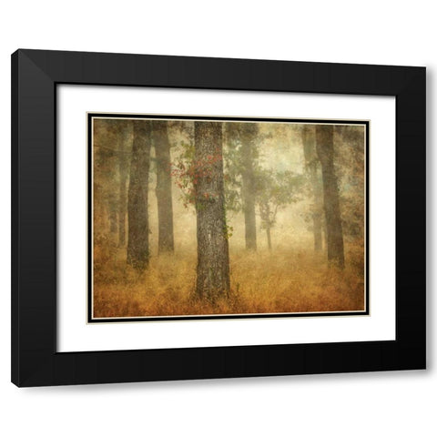 Oak Grove in Fog Black Modern Wood Framed Art Print with Double Matting by Guion, William