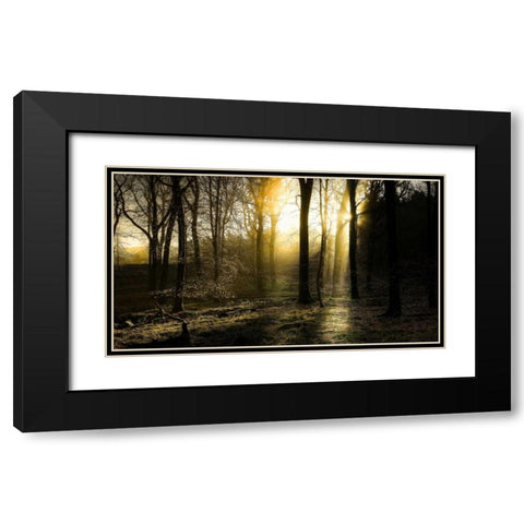 Autumn Lights Black Modern Wood Framed Art Print with Double Matting by Goncalves, Adelino