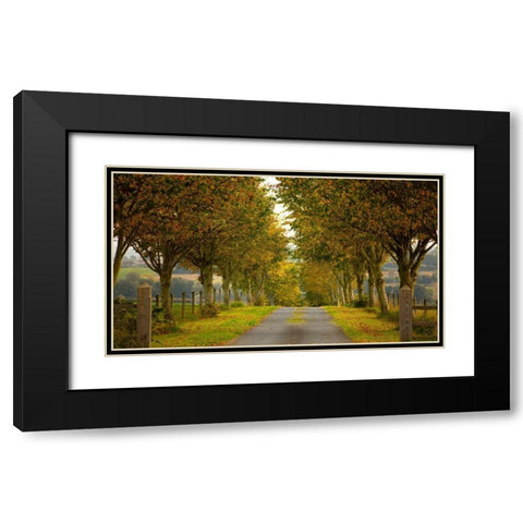 Colors of Autumn Black Modern Wood Framed Art Print with Double Matting by Goncalves, Adelino