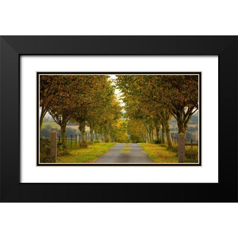 Colors of Autumn Black Modern Wood Framed Art Print with Double Matting by Goncalves, Adelino
