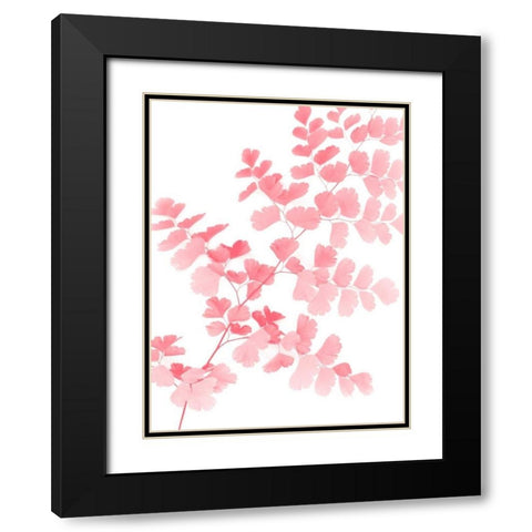 Pink Maidenhair Black Modern Wood Framed Art Print with Double Matting by Greer, Lexie
