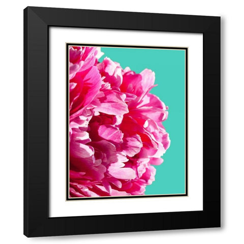 Pink Peony Black Modern Wood Framed Art Print with Double Matting by Greer, Lexie