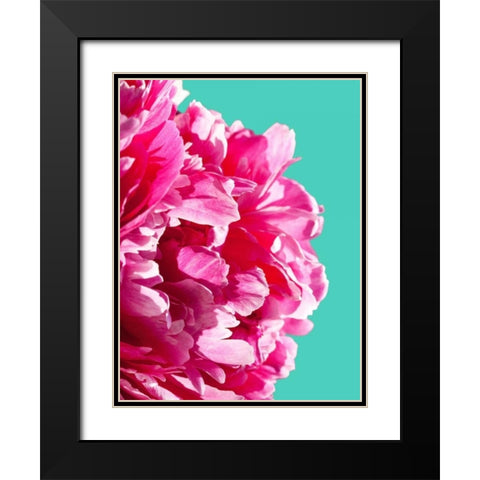 Pink Peony Black Modern Wood Framed Art Print with Double Matting by Greer, Lexie