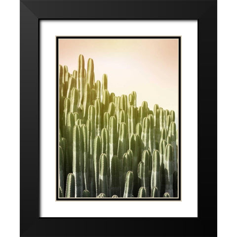 Pink Sky Cactus Black Modern Wood Framed Art Print with Double Matting by Greer, Lexie
