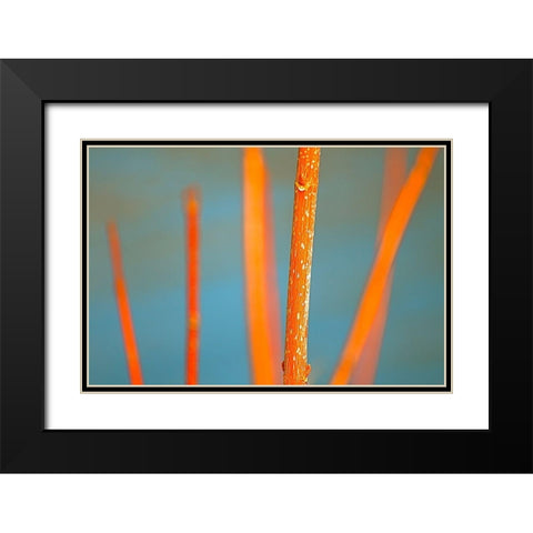Along the River No. 5 Black Modern Wood Framed Art Print with Double Matting by Gonzalez, Ulpi