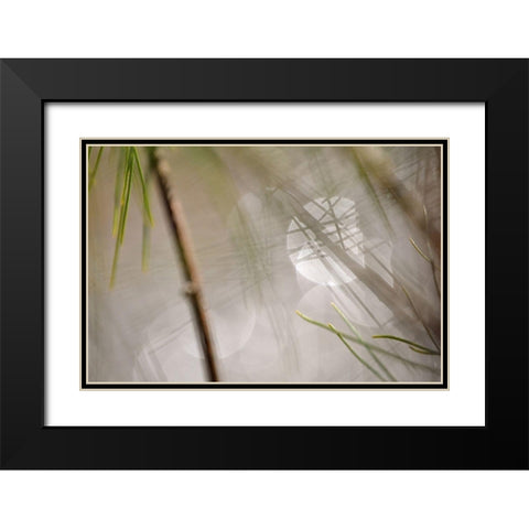Abstract by the River Black Modern Wood Framed Art Print with Double Matting by Gonzalez, Ulpi