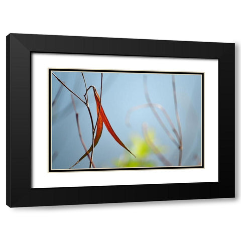 Red and Green by the River Black Modern Wood Framed Art Print with Double Matting by Gonzalez, Ulpi