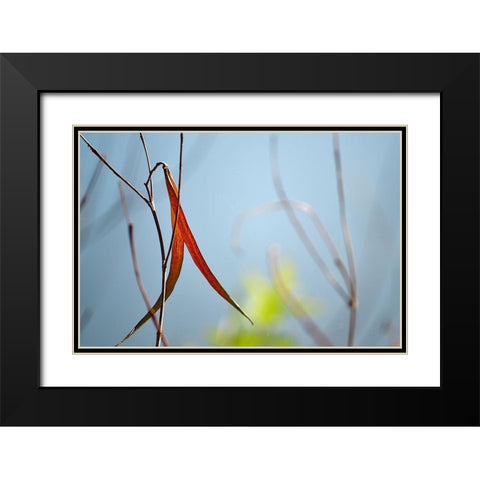 Red and Green by the River Black Modern Wood Framed Art Print with Double Matting by Gonzalez, Ulpi