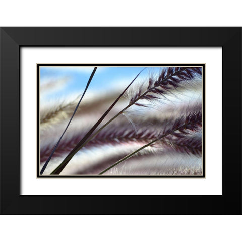 Grasses No. 8 Black Modern Wood Framed Art Print with Double Matting by Gonzalez, Ulpi