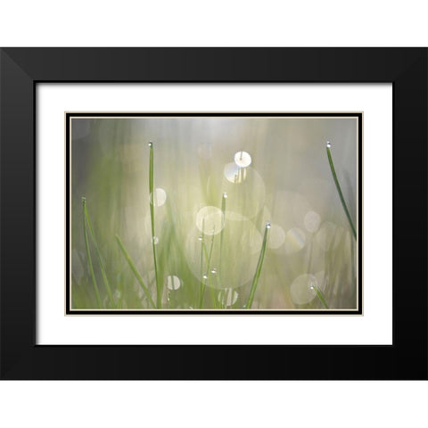 Morning Light No. 3 Black Modern Wood Framed Art Print with Double Matting by Gonzalez, Ulpi