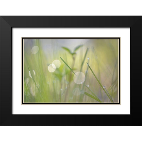 Morning Light No. 1 Black Modern Wood Framed Art Print with Double Matting by Gonzalez, Ulpi