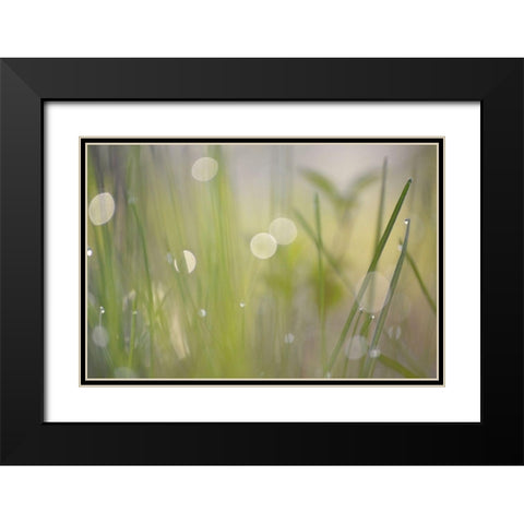 Morning Light No. 2 Black Modern Wood Framed Art Print with Double Matting by Gonzalez, Ulpi