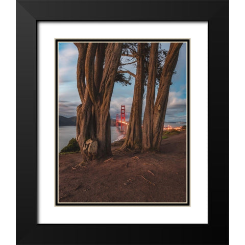 Between the Trees Black Modern Wood Framed Art Print with Double Matting by Getty, Bruce