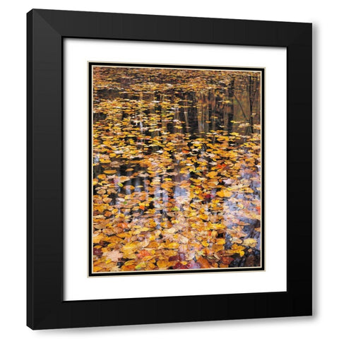 Autumn Detail Black Modern Wood Framed Art Print with Double Matting by Gavrilis, John