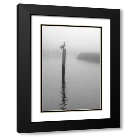 On Pelican Marsh Black Modern Wood Framed Art Print with Double Matting by Hiers, Winthrope