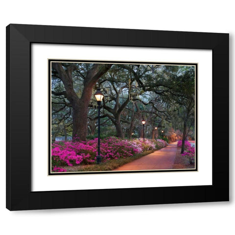 Forsythe Park Black Modern Wood Framed Art Print with Double Matting by Hiers, Winthrope