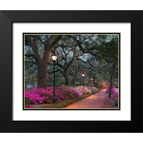 Forsythe Park Black Modern Wood Framed Art Print with Double Matting by Hiers, Winthrope