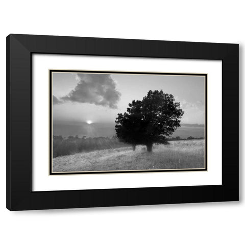 Spitler Knoll Overlook Black Modern Wood Framed Art Print with Double Matting by Hiers, Winthrope