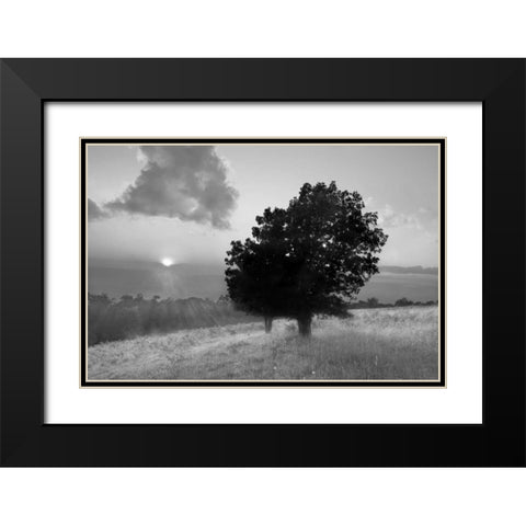 Spitler Knoll Overlook Black Modern Wood Framed Art Print with Double Matting by Hiers, Winthrope