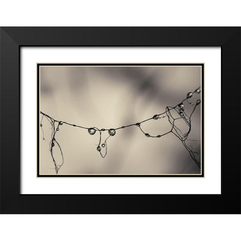 Moss 2017 Black Modern Wood Framed Art Print with Double Matting by Horsfall, Gary