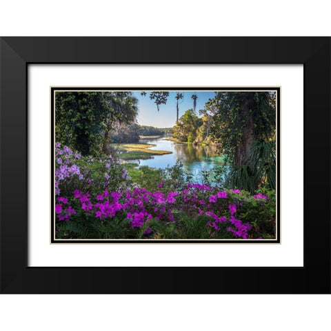 Rainbow Springs Black Modern Wood Framed Art Print with Double Matting by Herrera, H.J.
