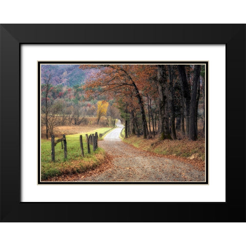 Autumn Drive I Black Modern Wood Framed Art Print with Double Matting by Head, Danny